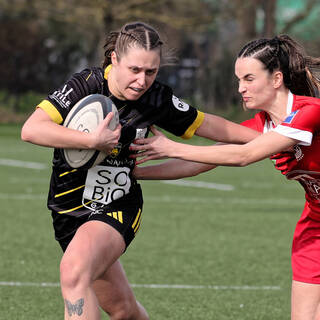 22/02/2026 - Fédérale 1 - Stade Rochelais 44 / 10 Dax