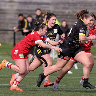 22/02/2026 - Fédérale 1 - Stade Rochelais 44 / 10 Dax