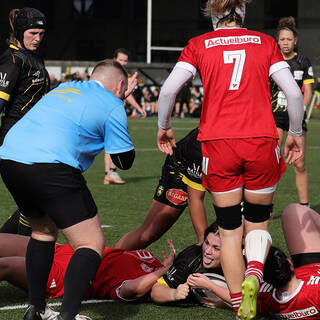 22/02/2026 - Fédérale 1 - Stade Rochelais 44 / 10 Dax