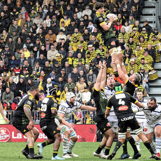 22/03/2025 - Top 14 - Stade Rochelais 12 / 12 Castres Olympique