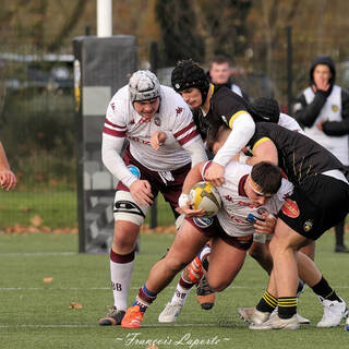 22/11/2025 - Espoirs - Stade Rochelais 29 / 28 Union Bordeaux-Bègles