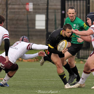 22/11/2025 - Espoirs - Stade Rochelais 29 / 28 Union Bordeaux-Bègles