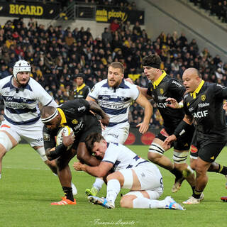 22/11/2025 - Top 14 - Stade Rochelais 17 / 19 Castres Olympique