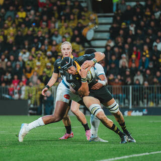 22/11/2025 - Top 14 - Stade Rochelais 17 / 19 Castres Olympique