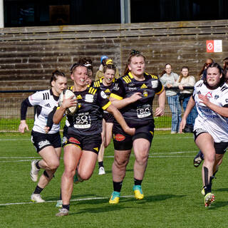23/02/2025 - Élite 2 - Stade Rochelais 60 / 6 Brive