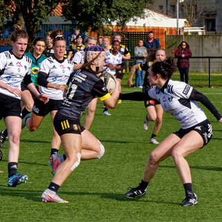 23/02/2025 - Élite 2 - Stade Rochelais 60 / 6 Brive