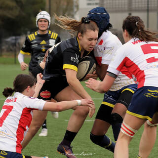 23/02/2025 - Fédérale 1 - Stade Rochelais 34 / 6 Courbevoie