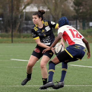23/02/2025 - Fédérale 1 - Stade Rochelais 34 / 6 Courbevoie