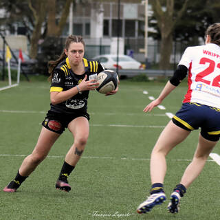 23/02/2025 - Fédérale 1 - Stade Rochelais 34 / 6 Courbevoie