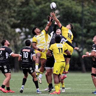 23/09/2024 - Espoirs - Stade Rochelais 32 / 6 Brive