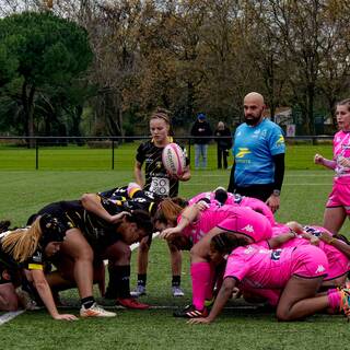 23/11/2025 - Élite 2 - Stade Rochelais 33 / 12 Stade Français Paris
