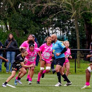 23/11/2025 - Élite 2 - Stade Rochelais 33 / 12 Stade Français Paris