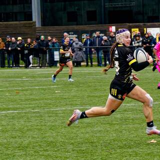 23/11/2025 - Élite 2 - Stade Rochelais 33 / 12 Stade Français Paris