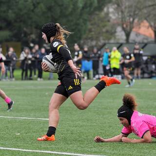 23/11/2025 - Élite 2 - Stade Rochelais 33 / 12 Stade Français Paris