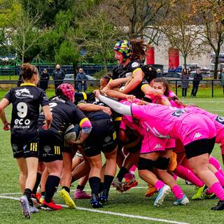 23/11/2025 - Élite 2 - Stade Rochelais 33 / 12 Stade Français Paris
