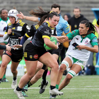 24/11/2024 - Élite 2 - Stade Rochelais 65 / 14 Clermont