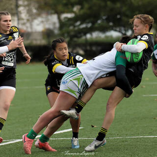 24/11/2024 - Élite 2 - Stade Rochelais 65 / 14 Clermont