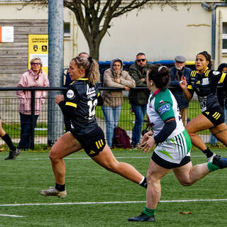 24/11/2024 - Élite 2 - Stade Rochelais 65 / 14 Clermont