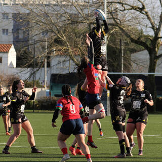 25/01/2026 - Fédérale 1 - Stade Rochelais 24 / 23 Entente Bruges Blanquefort