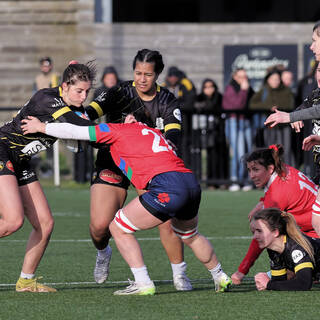 25/01/2026 - Fédérale 1 - Stade Rochelais 24 / 23 Entente Bruges Blanquefort
