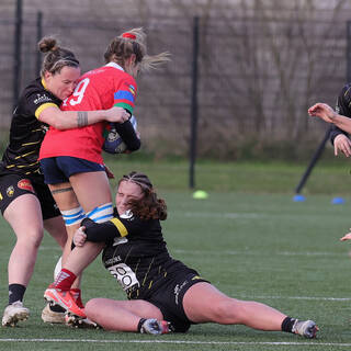 25/01/2026 - Fédérale 1 - Stade Rochelais 24 / 23 Entente Bruges Blanquefort