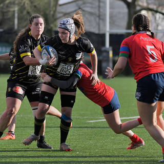25/01/2026 - Fédérale 1 - Stade Rochelais 24 / 23 Entente Bruges Blanquefort