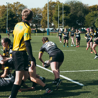 25/10/2023 - Federale 2 - Stade Rochelais 10 / 05 Pessac