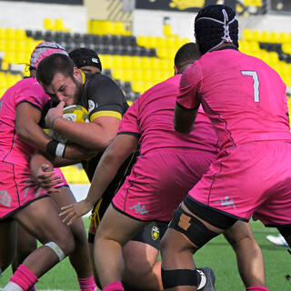 25/10/2025 - Espoirs - Stade Rochelais 34 / 27 Stade Français Paris