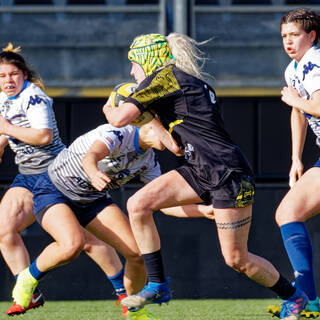 26/01/2020 - POC'ettes - J10 - Stade Rochelais 27 / 7 Montpellier