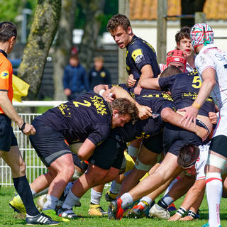 27/04/2019 - Crabos - Stade Rochelais 50 / 00 Biarritz