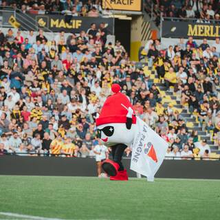 27/09/2025 - Top 14 - Stade Rochelais 31 / 08 USAP