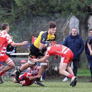 29/01/2022 - Cadets Alamercery - Stade Rochelais 30 / 13 Tarbes