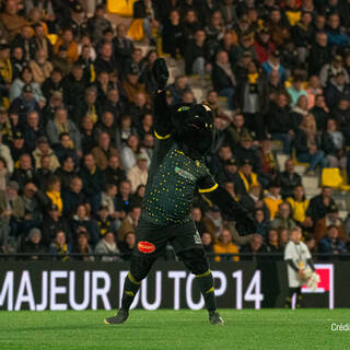  29/10/2023 - Top 14 - Stade Rochelais 24 / 27 Castres Olympique 