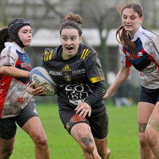 29/11/2025 - U18 Féminines Accession - Stade Rochelais 24 / 05 Limoges