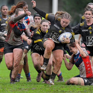 29/11/2025 - U18 Féminines Accession - Stade Rochelais 24 / 05 Limoges