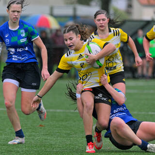 29/11/2025 - U18 Féminines Élite - Stade Rochelais 25 / 10 Stade Villeneuvois Lille