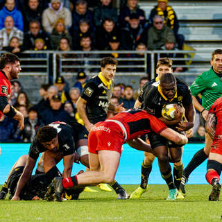 31/01/2026 - Top 14 - Stade Rochelais 24 / 44 LOU Rugby