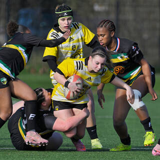 31/01/2026 - U18 Féminines Accession - Stade Rochelais 20 / 05 AS Corbeil Essonne - RC Mennecy