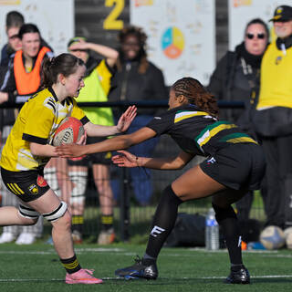 31/01/2026 - U18 Féminines Accession - Stade Rochelais 20 / 05 AS Corbeil Essonne - RC Mennecy