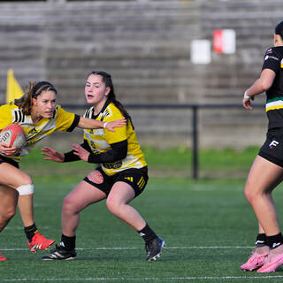 31/01/2026 - U18 Féminines Accession - Stade Rochelais 20 / 05 AS Corbeil Essonne - RC Mennecy