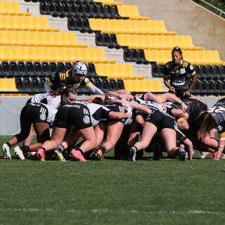 31/03/2024 - Elite 2 - Stade Rochelais 81 / 07 Brive