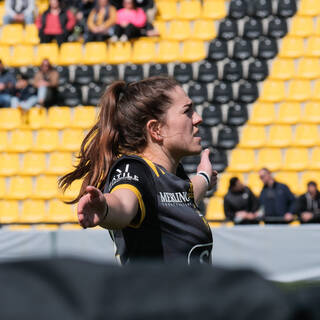 31/03/2024 - Elite 2 - Stade Rochelais 81 / 07 Brive