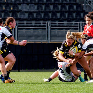 31/03/2024 - Elite 2 - Stade Rochelais 81 / 07 Brive