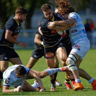ESP - ASR 33-10 RACING