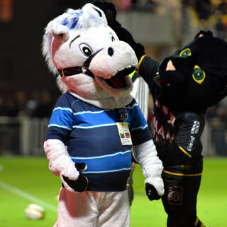 Top 14 - J10 - ASR 21 - 15 Montpellier