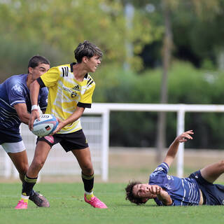 Tournoi à 7 - U16 / U18 - 3 septembre / 10 septembre