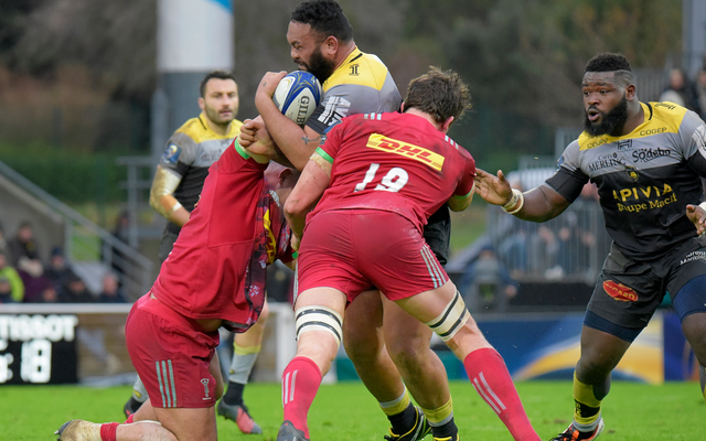 XV de France : 4 Rochelais titulaires ! 