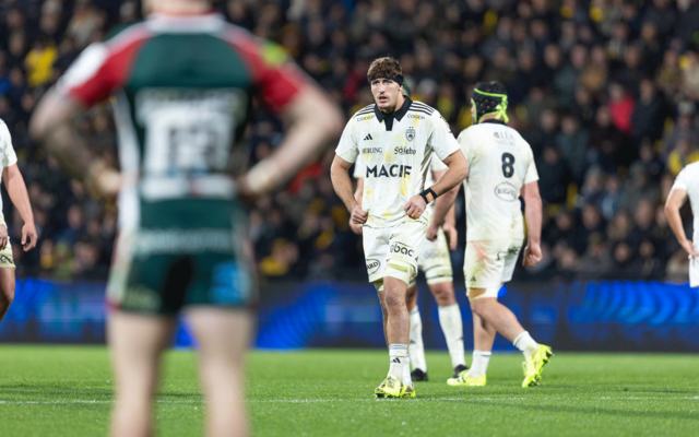 Au Leinster, un immense défi devenu quotidien