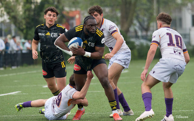 Espoirs, Élite 2 et Fédérale 2 : le bilan !