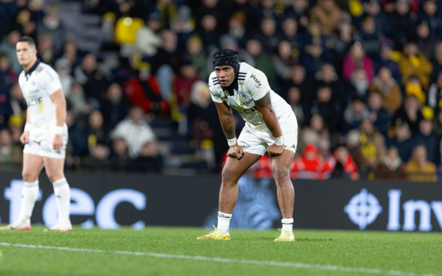 Face aux Harlequins, faites vos enchères !